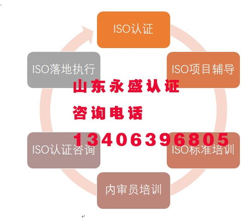 山東永盛東平0099認證機構技術服務成功案例